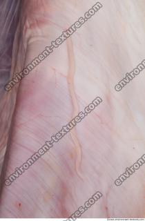 Photo Textures of RAW Beef Meat